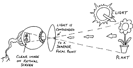 It's true - they really work!