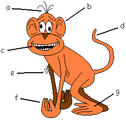 Monkey Facts