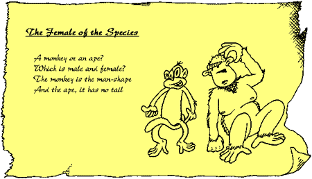 Species